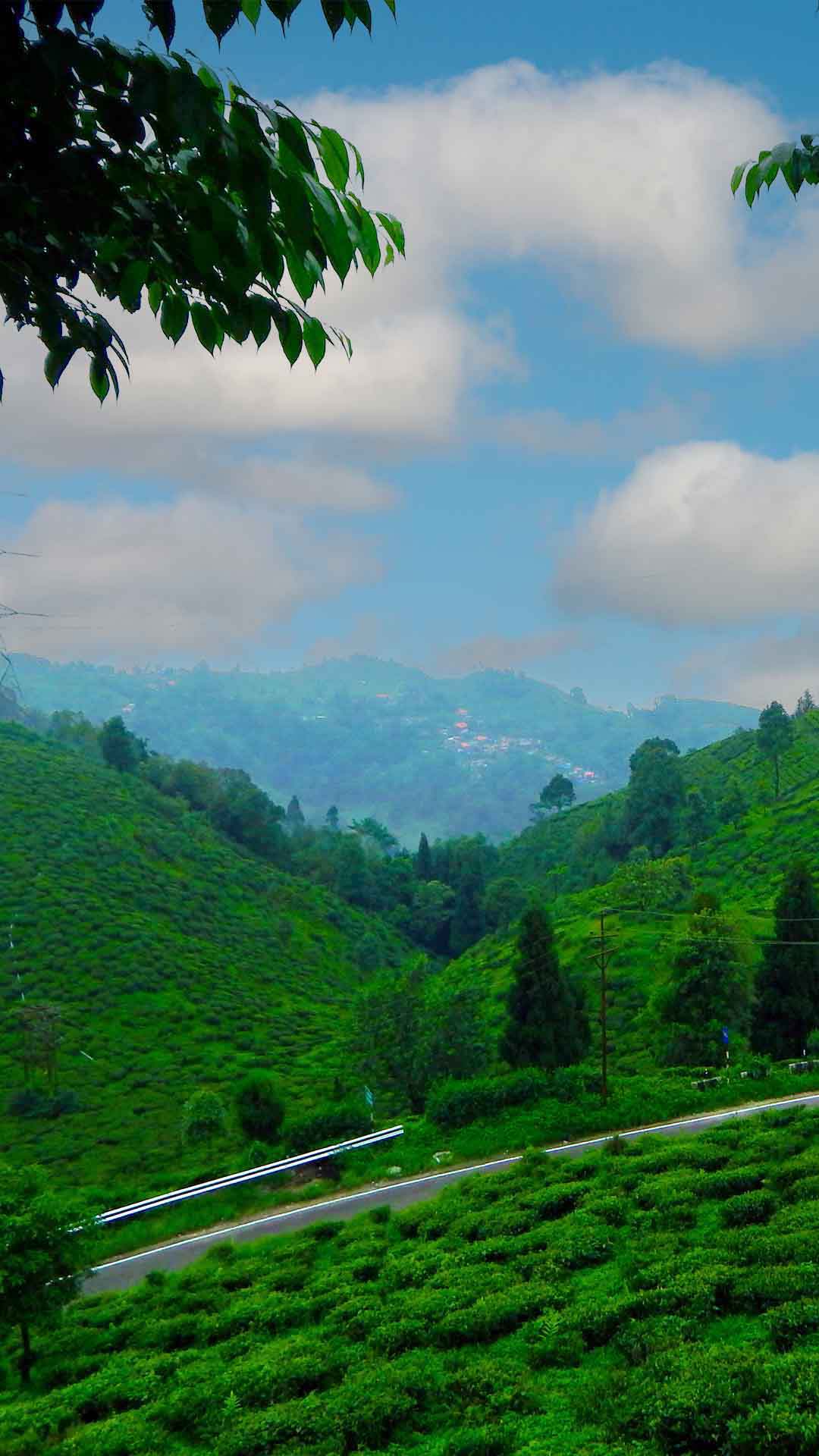 Nature around Mirik