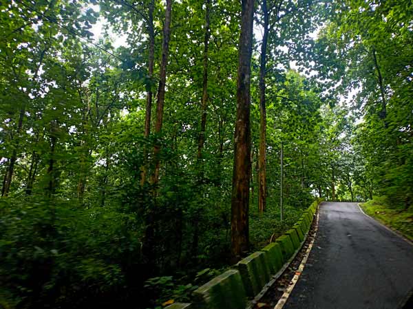 Mahananda Wildlife Sanctuary